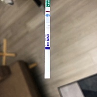 按照排卵试纸两天一次同房，排卵后10天测依旧是白板。哎………这么怀孕这么难！