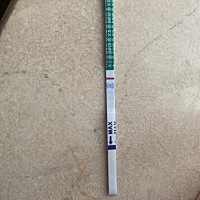 记不清例假的日期了，这是同房14天后的结果，有经验的姐妹们帮忙看看这是有还是没有呢？