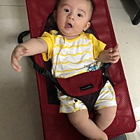 最中意的摇椅，一日三餐解放了双手，马上进军6个月咯，一切安好