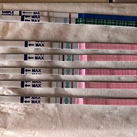 还是秒红的那种！昨天中午强阳到现在。是不是￼排卵 早孕白板￼