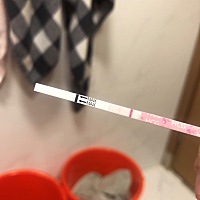 请问成功机率大吗？28号排卵。好紧张，备孕半年
