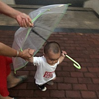 城里的房子还没装修好 宝宝又不能去住  乡下蚊子多 老是咬小宝宝