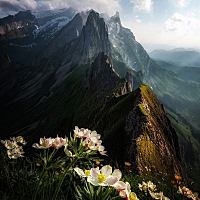 小编说：有一种人，会有这样的痛苦：“我什么都不错，我觉得我应该很快乐，可是却相反，那是为什么？”...