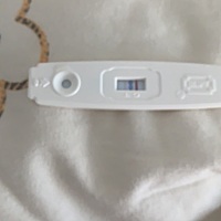 最近几天肚子一直有点微微的疼，跟来大姨妈一样，不知是不是呀