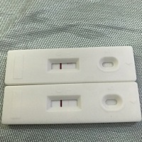 上个月15号来的大姨妈，排卵期软件是30号，这个粉印有没有希望，有点小激动，这二天测的