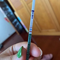 这两道杠算是明显了吧