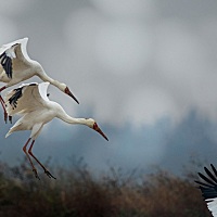 小编说：你这样，从自我中心偏狭的门缝里 看世界，怎么能幸福呢？又给孩子示现一个怎样的世界？ 孙新兰...