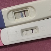 都迟了2天了 这样是怀孕了吗