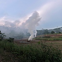 Life energy is the elements that can push you forward with happiness and enjoyment. If you feel p...