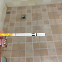 预计经期是17日，6.3排卵 起了个大早测了大白板 ，我这五个月是不是又没戏了 ... 害  别人为什么都那么...