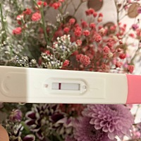 今天经期日大白板，看来这个月没有希望了🤠