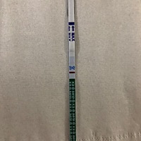 有看到意念灰吗？昨天排卵第九天抽血没怀，可是这种意念灰又让我失望之后抱一丝希望，真的不能测，顺其...