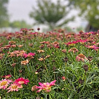 学员：孙老师好，你刚才说到需要，我们在生活中其实都是被需要的，比如说我是一个妈妈，我特别愿意给孩...