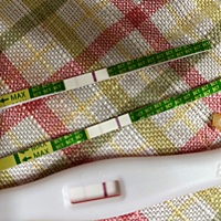 请问这是啥情况？