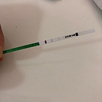 过月经期2天，这是怀孕了嘛🥺这两天一直小肚子疼，以为要来大姨妈，今天试了试，结果！这是怀孕吗🥺