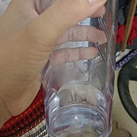 想知道坐月子可以喝豆本豆豆奶吗  不是经常喝 就喝一次