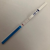 姐妹们怀孕初期有什么反应吗