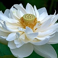活到了三十岁，今年发现自己真的没有什么不能再失去的，亲情的爱情的都在做着减法～～～最近常常梦到爷...