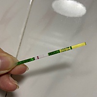 一天一个变化
