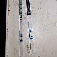 这是测得第三天 用两个不同的测纸试的 前两天测得也是特别淡 应该是加深了 姨妈推迟7天了 大概帮我看看...