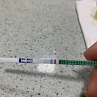 有没有15号排卵的小仙女呀，我还是白板，大家有没有成功的，我是不是太心急了😂