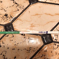 谢谢大家帮忙看看