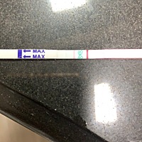 #测排卵#若阳，备孕第三个月，希望能成功