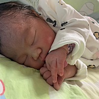 一天天圆润起来的小宝贝！