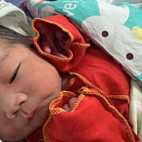 阳历6月22，阴历五月初二，下雨4点48分，我的小沐沐出生啦，顺产，过程就不写了，太心酸，整个孕期...