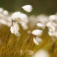 小编说：担心的阴影背后，是你内在生命强烈渴望让你更健康、更快乐、更幸福。你没有允许这个影子的灵魂...