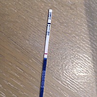 5.31号来例假，14号排卵，今天早上测没有