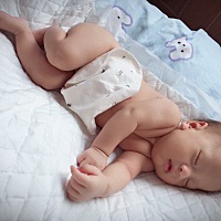 万物生长靠太阳🌞光合作用中...