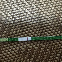 月经推迟两天没来测的，大家帮我看看这是怀孕了吗？ 不知道是不是，第二道杠颜色很浅