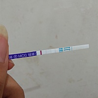 备孕第一个月。月经推迟五天查的。是不是有了。来来来。接好孕了。