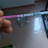 上个月5.3号来的，这个月6.18来，去医院测了没怀孕。来完三天排卵测纸就显示开始排卵了，是因为经期乱了...