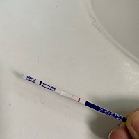 6.1号末次，大概15号左右排卵！ 早上测都还大白板，现在又测不知道会不会炸糊啊！😂😂😂