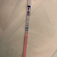这是不是代表要排卵吗？可以安排了？
