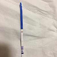 12日排卵，明天来月经，今晚测得，我竟看见了意念灰，明早再试试