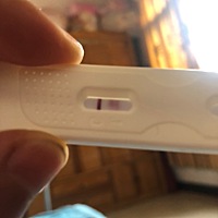 这是怀孕了吗