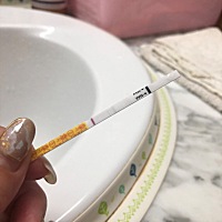这到底是白是灰呢！傻傻看不清