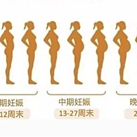 快19周了，你们都增加了多少体重？