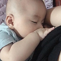 我家小黄现在只吃母乳不吃奶粉了怎么回事，一出生到三个月前还吃的，三个月以后突然不愿意吃了，浪费了...