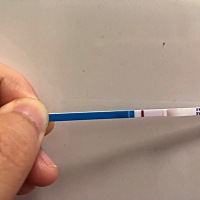 有人和我一样19号排卵，今天测出来的吗？