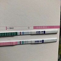 同房四五天后开始胸胀触碰疼，今天第7天，早上测的离姨妈还有一个礼拜，是不是没希望了