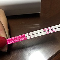 这个是什么意思，有还是没有啊