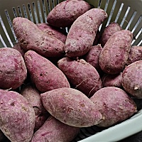 再也不担心发芽霉烂了