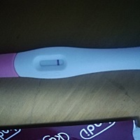 二十二号排卵18号到24高两天一次同房，昨天测白班，期待好运吧