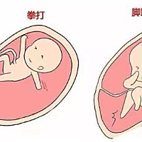 怀胎十月，对孕妈来说是一场考验，对于胎宝宝来说也是一场前所未有的挑战。不要忽视这个小小的生命体，...