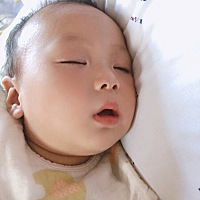 9 16天的猪宝宝。着急怎么断奶……谁有好的方法让我跟我闺女都不痛苦呢