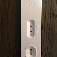 同房20天测出的这种结果